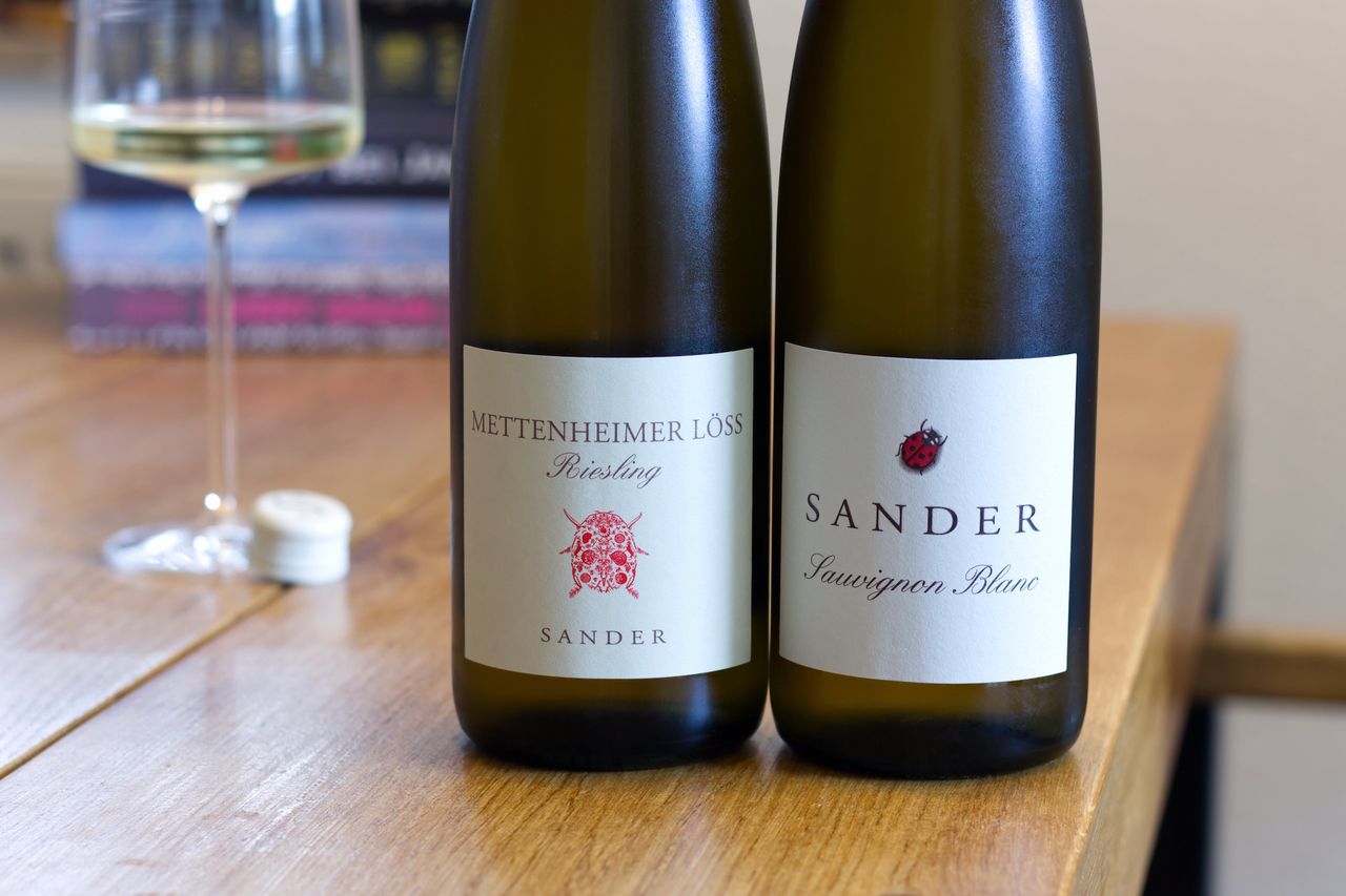 On a wooden table stand two bottles of white wine from Weingut Sander, each with the distinctive ladybug on the label. In the background, a wine glass and a stack of books can be seen.