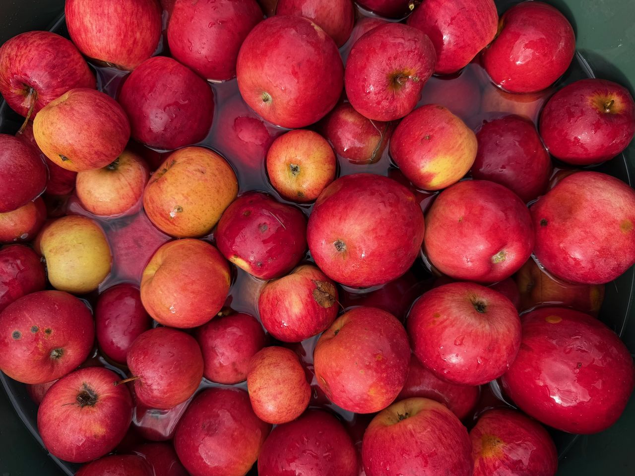 Many red apples in a tub
