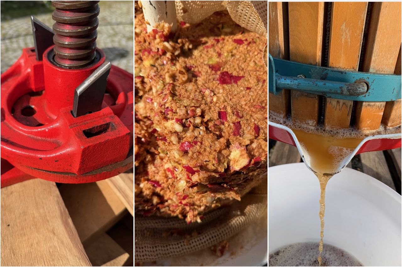 A collage of a close-up of a basket press, a close-up of pressed apple pomace, and juice flowing from the basket press