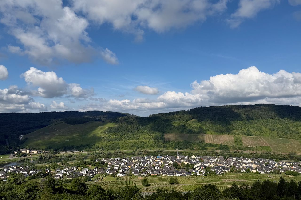 Rachtig seen from the Moselblick viewpoint