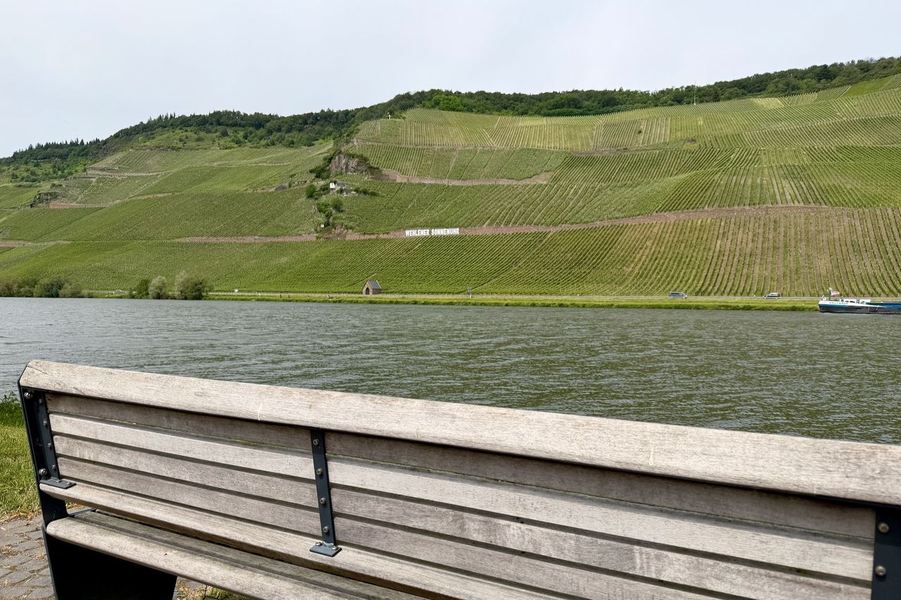 The Wehlener Sonnenuhr with vineyards